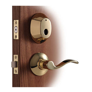 InSync Deadbolt with Lower Lever
